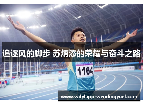 追逐风的脚步 苏炳添的荣耀与奋斗之路