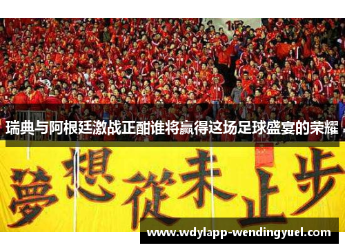 瑞典与阿根廷激战正酣谁将赢得这场足球盛宴的荣耀